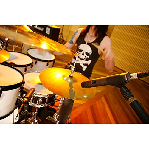 Rode M3 Versatile End-Address Instrument Condenser Microphone - style: M3 Condenser Microphone
