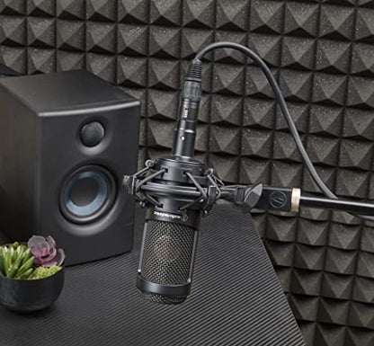 Audio-Technica AT2035 Large Diaphragm Studio Condenser Microphone (Renewed)