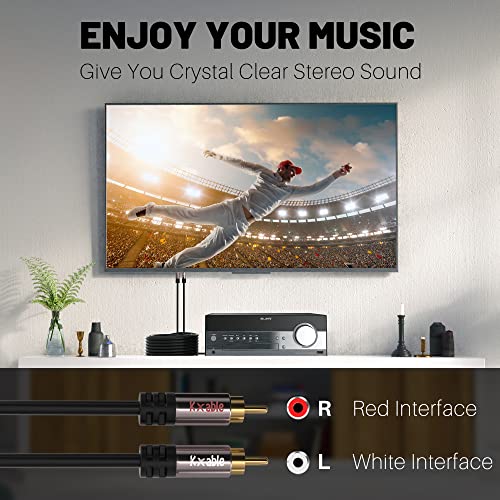 RCA Cable 4 FT, 2RCA Male to 2RCA Male Stereo Audio Cables, Dual Shielded Digital Analogue, 2 RCA Subwoofer Cord for Home Theater, HDTV, Amplifier, Hi-Fi System, Car Audio, Speaker, 23AWG OFC Core - size: 4 Feet