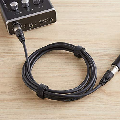 Amazon Basics 2-Pack XLR Male to Female Microphone Cable for Recording Studio, Speaker or PA System, Shielded, All Copper Conductors, 6MM PVC Jacket, 10 Foot, Black - size: 10 Feet, style: 2-Pack