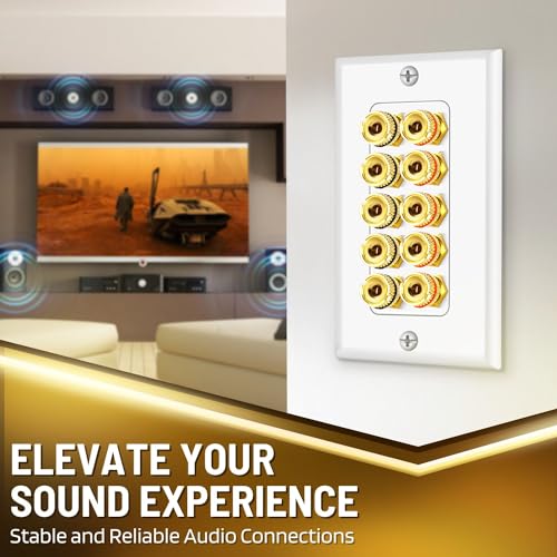 TNP Speaker Wall Plate for 1 Speaker, Banana Plug, Single Gang, White | Speaker Wire Wall Outlet with Gold-Plated Binding Posts for Spades or Bare Wire; for Home Theater and Surround Sound Setups - size: 5-Speaker