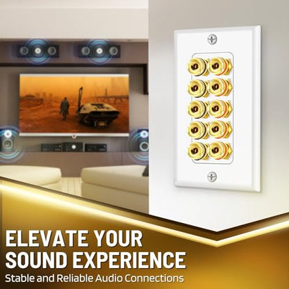 TNP Speaker Wall Plate for 1 Speaker, Banana Plug, Single Gang, White | Speaker Wire Wall Outlet with Gold-Plated Binding Posts for Spades or Bare Wire; for Home Theater and Surround Sound Setups - size: 5-Speaker