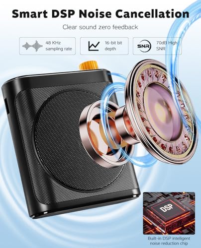 Tearstone Voice Amplifier for Teachers with Wireless Magnetic Lavalier Microphone, Bluetooth Portable Rechargeable Speaker, 2 Mics for Classroom, Meetings, Speeches (Crow Balck) - color: Black