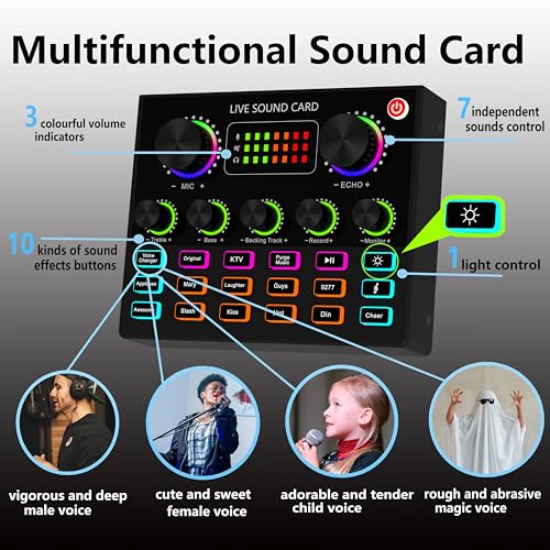 Podcast Equipment Bundle for 2, V8mx Audio Interface with Voice Changer Condenser Microphones for Gamer, All-in-One Audio Mixer Perfect for Live Streaming, Singing, YouTube, Gaming (V8MAX KIT FOR 2)