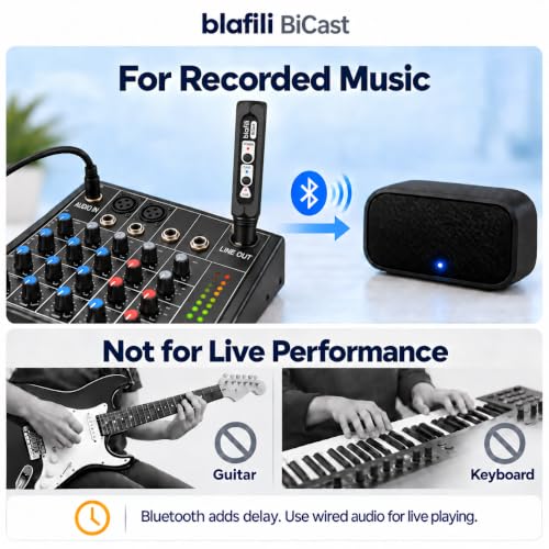Bicast Bluetooth Transmitter, XLR Audio Input & 2-Device Pairing