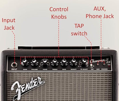 Fender Champion II 25-Watt Guitar Combo Amplifier Bundle with Instrument Cable, Picks, and Austin Bazaar Instructional Video