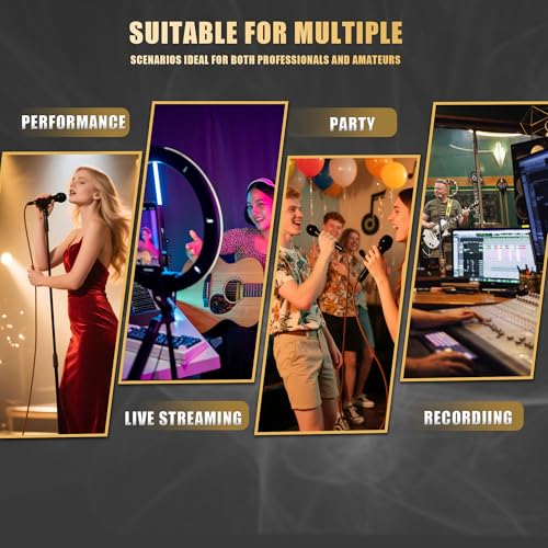 Professional Dynamic Microphone for Singing Karaoke Microphone with 16ft XLR to 1/4'' Audio Cable, Vocal Handheld Mic for Podcast Mixer Amplifier PA System - color: Titanium Gray