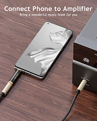 ANDTOBO 3.5mm to 1/4 Adapter, Pure Copper Headphone Jack for Stereo Audio