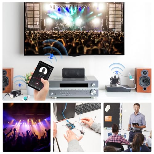 Bluetooth Amplifier Board 100W, with IPEX Antenna Connector (DC 9-24V) | TPA3116 Mono Audio Amp , with TWS Pairing, AUX/USB/Bluetooth Input, Wired Volume Control for Speaker DIY, Car & Home Audio