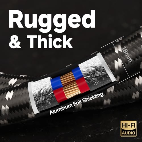 TODN 9.8ft Silver-Plated OCC Speaker Cable with Banana Plugs HiFi Shielded | 1 Cable Rhodium-Plated Banana Plug Speaker Wire, Carbon Fiber Shell, Nylon Braided for Speakers Home Theater Amplifier Stereo - color: Speaker Cable Master, size: 3m