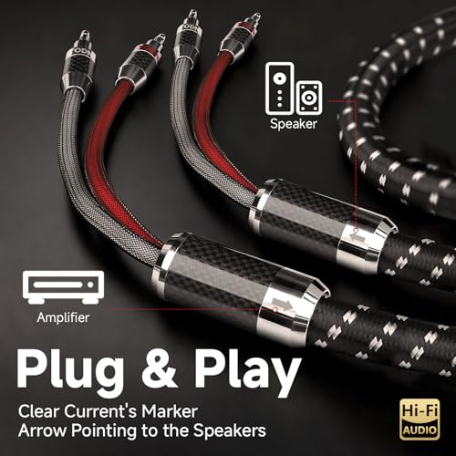 TODN 9.8ft Silver-Plated OCC Speaker Cable with Banana Plugs HiFi Shielded | 1 Cable Rhodium-Plated Banana Plug Speaker Wire, Carbon Fiber Shell, Nylon Braided for Speakers Home Theater Amplifier Stereo - color: Speaker Cable Master, size: 3m