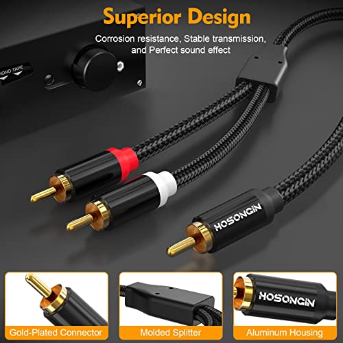 HOSONGIN RCA Y Splitter Cable, 1 Male to 2 Male Audio Cables (2 Pack), 12 Inch, 24K Gold-Plated, Cotton Braided, Shielded Subwoofer Cable for Amplifiers, TV, Home Theater, Hi-Fi Systems - size: 1FT-2Pack, style: 1 Male to 2 Male