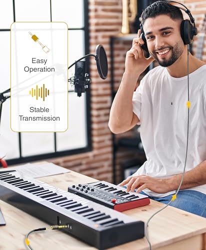 BlueRigger 1-Pack 1/4 to 3.5mm adapter (TRS 1/4 to 1/8 AUX Audio Jack Converter, Gold Plated, Aluminum Shell, 6.35mm Male to 3.5mm Female) Stereo Headphone Adapter for AUX Cable Guitar Amplifier Piano - size: 6.35MM-3.5MM-ADPT