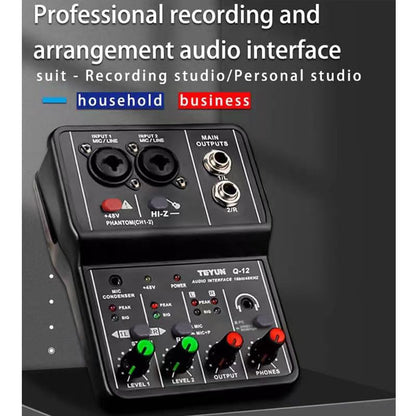 USB Audio Interface for PC,Interface for Recording Music Computer Recording Audio Interface XLR with 3.55m Microphone Jack, USB Sound Card for Recording Studio, Ultra-low Latency Plug&Play, Q-12