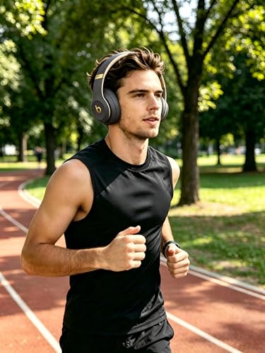 Replacement Ear Pads Compatible with Beats Studio 3 Wireless Titanium Color - color: Titanium Color