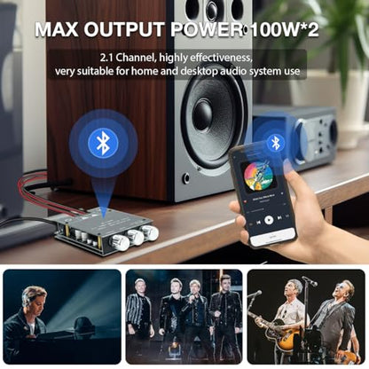 ZK-1002T 2x100W Bluetooth 5.0 Amplifier Board, TPA3116D2 2 Channel Stereo Audio Amp Module with Bass and Treble Control, DC 12V-24V Power Amplifier for DIY Home Passive Speakers - style: ZK-1002T