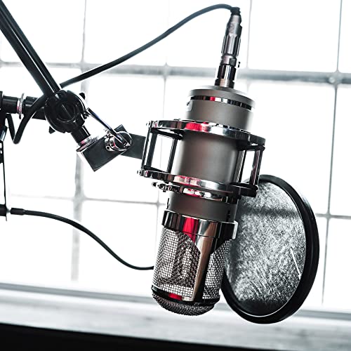 Lauten Audio Eden LT-386 Large-Diaphragm Condenser Microphone - style: EDEN