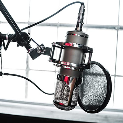 Lauten Audio Eden LT-386 Large-Diaphragm Condenser Microphone - style: EDEN