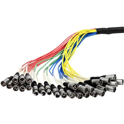Seismic Audio - SAXQ-24x8x75 - 24 Channel 75' XLR Snake Cable with 8 XLR and 1/4" Returns on the Box - size: 75 Foot - 24 Send x 8 Return