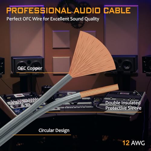 2 Pack 12AWG 4m High-End HiFi OFC Speaker Cable with Banana Plugs, 1 Pair Bi-Wire Cold Welding Oxygen Free Copper Speaker Wire Cable with 4mm Gold Plated Banana Plugs for Audio Home Theater - style: 2x 4m High-end Speaker Cable