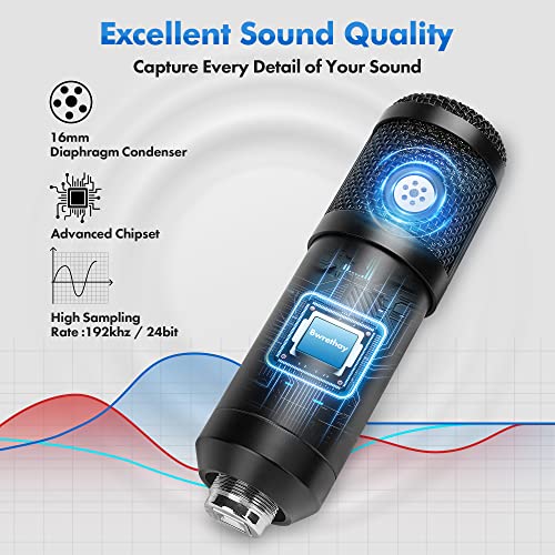 Bwrethay USB Microphone,Professional Microphone 192kHz/24Bit Plug & Play PC Computer Condenser Cardioid Mic Kit with Adjustable Boom Arm Stand Shock Mount,for Podcast,Streaming,StudioRecording, Black