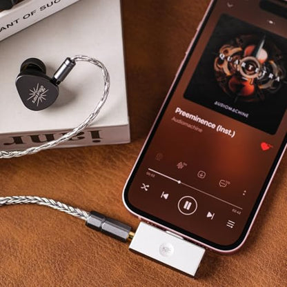 Kiwi Ears Allegro Mini USB C to 3.5/4.4mm IEM Headphone Amplifier | Official Web EQ Tuning, High Resolution 32bit/384kHz for Phone PC Tablet, Portable for Audiophiles Gamers Use(Sliver) - color: Silver