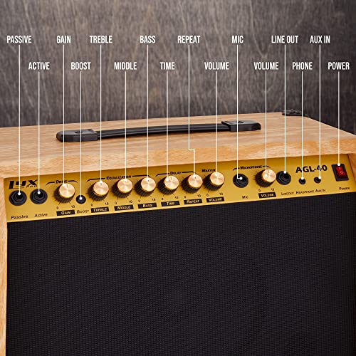 LyxPro 40 Watt Electric Guitar Amplifier | Solid State Studio Amp with 8” 4-Ohm Speaker, Custom EQ Controls, Drive, Delay, ¼” Passive/Active/Microphone Inputs, Aux in & Headphone Jack - Natural - color: Natural, size: 40 Watt