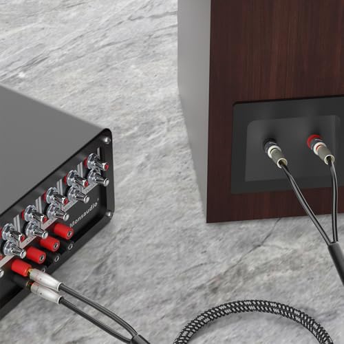 Preffair Speaker Cables 13AWG/2.5mm² HiFi Silver Plated Copper Wires with 8 BFA Style Gold Plated Banana Plugs for Amplifier, A/V Systems Theater,1 Pair (White-Black, 10 feet) - color: Silver, size: 10 feet