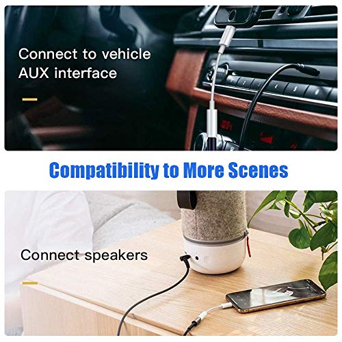 Lightning to 3.5mm Headphone Jack Adapter