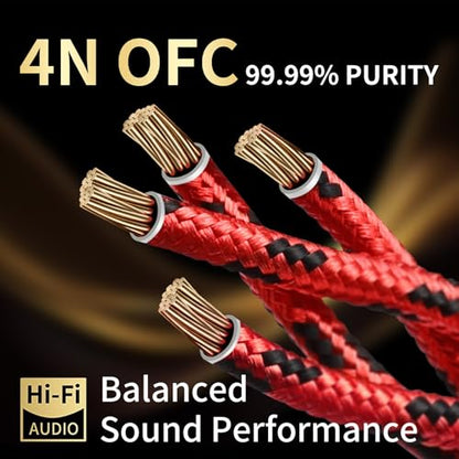 10 AWG 2Pack Audiophile Speaker Cable – Speaker Wire with Banana Plugs,4N OFC Core,Nylon Braid,Audio Wire,Compatible with Amplifier,Speakers,AV Receiver& Home Theater（8.2ft/2.5m） - size: 8.20ft/2.5m, style: 4N 10AWG