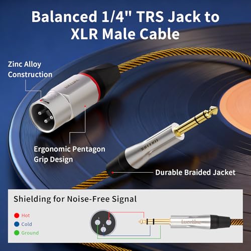 Balanced XLR to 1/4 Inch TRS Audio Cable, Pro Patch Cord for Studio Mixers & Monitors - 6.35mm to XLR Male, 10ft (3m) Signal Lossless - size: 10 Feet, style: XLR Male to 6.35mm