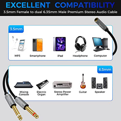 3.5mm to Dual 6.35mm Y-Adapter Splitter 0.6 Feet,3.5mm 1/8 Inch TRS Stereo Female to 2 X 6.35mm 1/4 Inch TS Mono Male Y Splitter Audio Cord Converter Connector for Phone, PC, Computer Sound Card,Mixer - size: 1 Pack, style: 3.5(female) to dual 6.35(male)