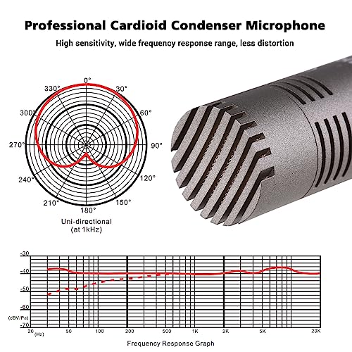 TAKSTAR CM-60 XLR Cardioid Condenser Studio Mic, Instrument Microphone
