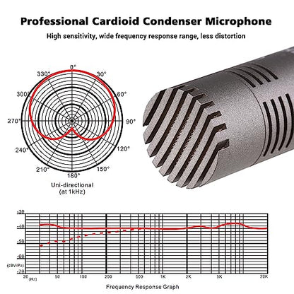 TAKSTAR CM-60 XLR Cardioid Condenser Studio Mic, Instrument Microphone