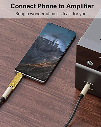 3.5mm Male to 6.35mm Female Headphone Adapter, TRS 1/8 Inch Plug to 1/4 Inch Jack Stereo Audio Adapter for Amplifiers, Guitar, Home Theater Devices, Laptop, Headphones etc