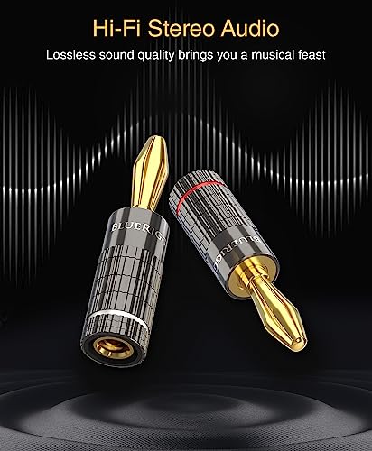 BlueRigger Banana Plugs 2 Pairs / 4 pcs (Closed Dual Screw) - 4 Pack Gold Plated Speaker Plugs Connector for Speaker Wire, Amplifier, Receiver, Banana Wall Plate, Home Theater - size: 2 Pairs