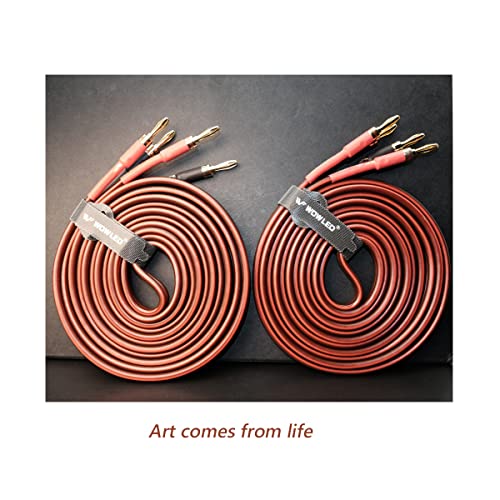 UCINNOVATE 2 Pack Audiophile Speaker Cable, 2X 4m High-end Pure Copper HiFi OFC Speaker Wire Cable with Gold-Plated Banana Plug, 4m 600 Strand 14 AWG Audio Cable for HiFi Speaker Home Theater 13.12FT - size: 2 Pack 13.12FT