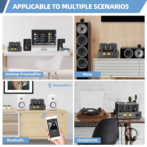 Tube Amplifier, Stereo Vacuum Tube Class A/B Amplifier,Integrated Amplifier with Bluetooth 5.0,Subwoofer Output, Headphone Output, Record Player Phono Preamp and USB DAC