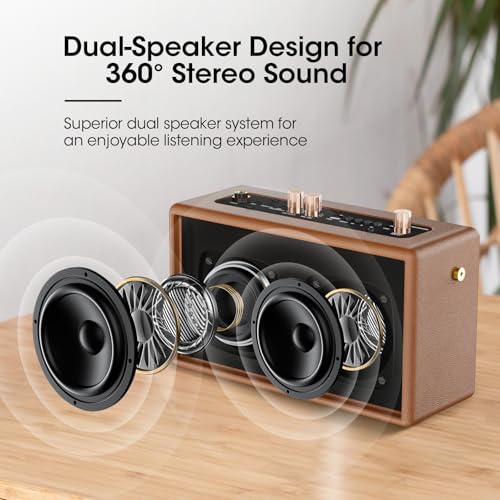 Karaoke Machine, Retro-Design Speaker with 2 Wireless Microphones for Adults & Kids, Portable Karaoke System for Home Party, Bluetooth/AUX/USB/TF/TWS Support, Gifts for Women & Girls - Brown - style: Brown
