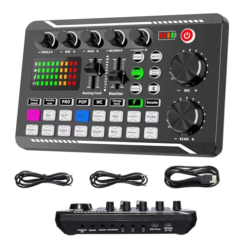 SINWE Live Sound Card Audio Mixer,Podcast Production Studio Equipment | Podcast Audio Interface with DJ Mixer Effects and Voice Changer，Prefect for Live Streaming/Podcasting/Gaming/singing
