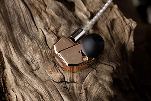 Final B1 Sound Isolating in-Ear Headphones Earphones with Dynamic and Balanced Armature Drivers