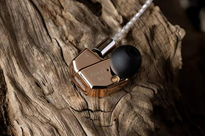 Final B1 Sound Isolating in-Ear Headphones Earphones with Dynamic and Balanced Armature Drivers