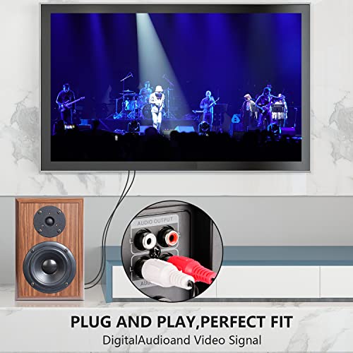RCA Cables, 2RCA Male to 2RCA Male Stereo Audio Subwoofer Cable Dual Shielded RCA Cord for Home Theater, HDTV, Amplifier, Hi-Fi Systems, Speakers (6 Feet) - style: 6 Feet