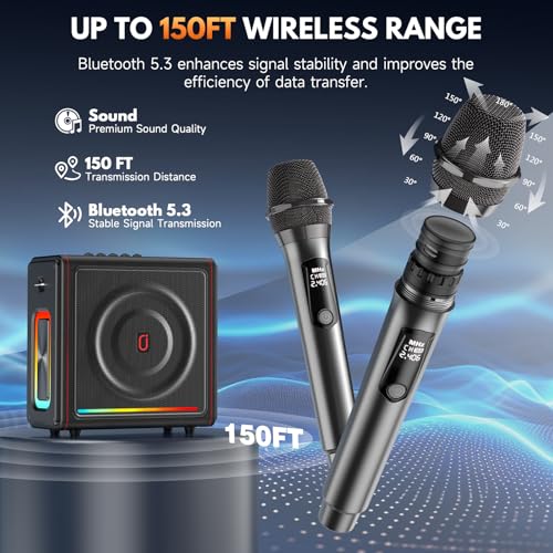 Karaoke Machine for Adults with Bass/Treble/Echo Adjustment, 300W PA System