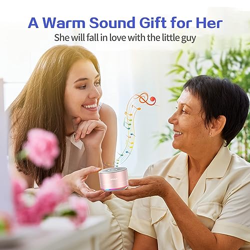 LENRUE Portable Wireless Bluetooth Speaker with Built-in-Mic,Handsfree Call,AUX Line,HD Sound and Bass for iPhone Ipad Android Smartphone and More (Pink+case) - color: Pink+case