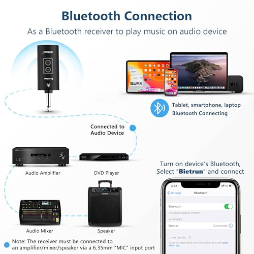 Wireless Microphone with Echo/Treble/Bass, 1/4'' Plug Rechargeable Receiver