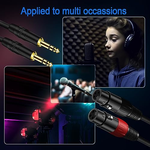 LanSenSu XLR to 1/4 TRS Stereo Adapter,XLR Female to 1/4 Inch (6.35mm) Stereo Balanced Microphone Stereo Audio Converter AdapterCable 2Pack- 11.8inch - size: 6.35mm to XLR Female-11.8in