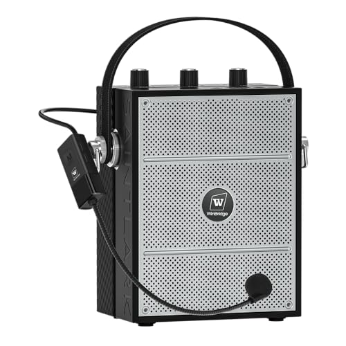 Bluetooth 5.3 Voice Amplifier with Wireless Microphone Headset S98 | Personal Wireless amplifier Mic for Teachers,40W Loudly Portable Megaphone Pa System for Classrooms,Speeches,Outdoors Indoors