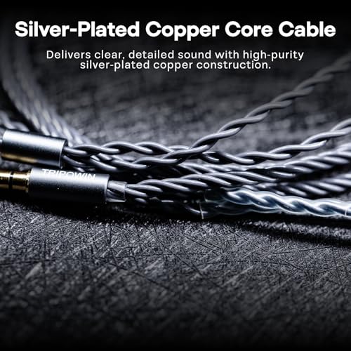 Tripowin Grace Silver-Plated 2Pin OFC IEM Replacement Cable with Mic | 3.5mm Jack, Tangle-Free Braided, Ergonomic Earhooks, One-Button Control, Extension Cord for Wired Earbuds (Recessed 2PIN) - style: Recessed 2PIN