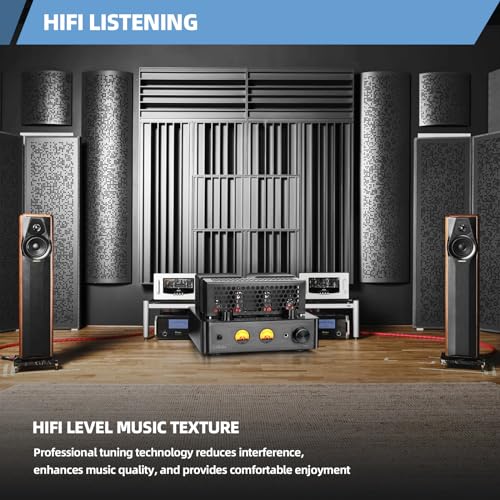 Tube Amplifier, Stereo Vacuum Tube Class A/B Amplifier,Integrated Amplifier with Bluetooth 5.0,Subwoofer Output, Headphone Output, Record Player Phono Preamp and USB DAC